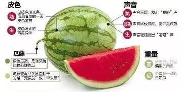 清远网红吃瓜群微信