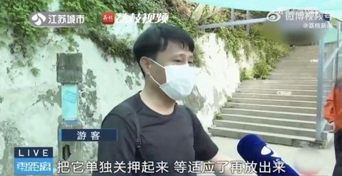 男朋友看网红吃瓜