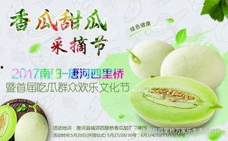 镇平网红吃瓜,揭秘网络红人的幕后生活